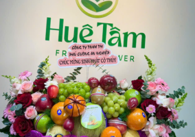 Giỏ Trái Cây Quà Tặng – Sang Trọng, Ý Nghĩa Tại Huệ Tâm Gò Vấp