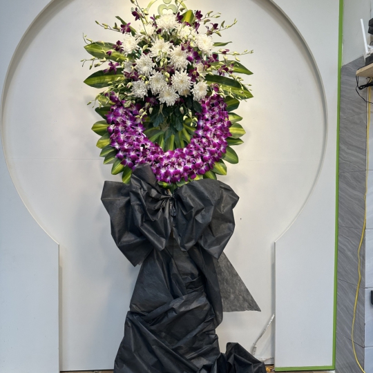 Imperial Orchid Tribute – Kính Viếng Cao Quý 