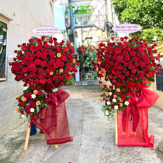Hoa Khai Trương Đại Hồng Phát – Song Trụ Hồng Rực Rỡ 