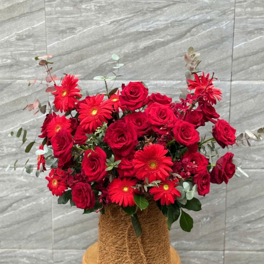 Giỏ Hoa Hồng Đỏ Phối Đồng Tiền – Sắc Đỏ Nồng Nàn  