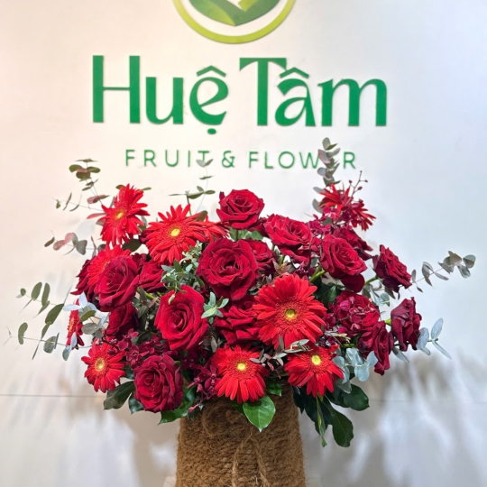 Giỏ Hoa Hồng Đỏ Phối Đồng Tiền – Sắc Đỏ Nồng Nàn  