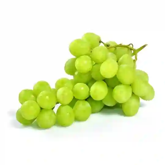 Nho xanh úc 