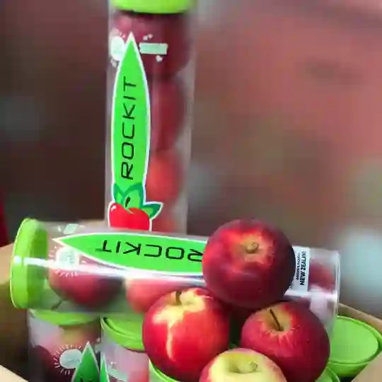 Táo rocket  