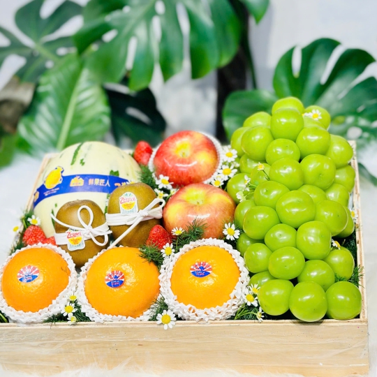 HỘP QUÀ TRÁI CÂY SIÊU XINH  