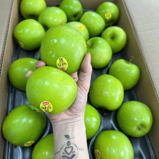 TÁO XANH CHUÔNG MỸ 