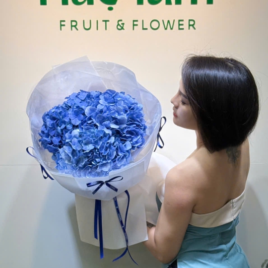 🌸 Bó Hoa Tú Cầu Lam Tinh Tú 
