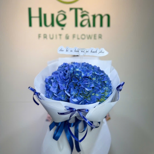 💙 Bó Hoa Cẩm Tú Cầu Thanh Lam Bình Yên 