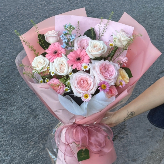 🌸 Blush Melody – Giai Điệu Hồng Dịu 