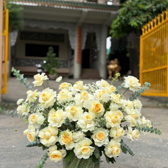 🤍 Ivory Garden Grace – Khu Vườn Thanh Nhã Tinh Khôi ✨ 