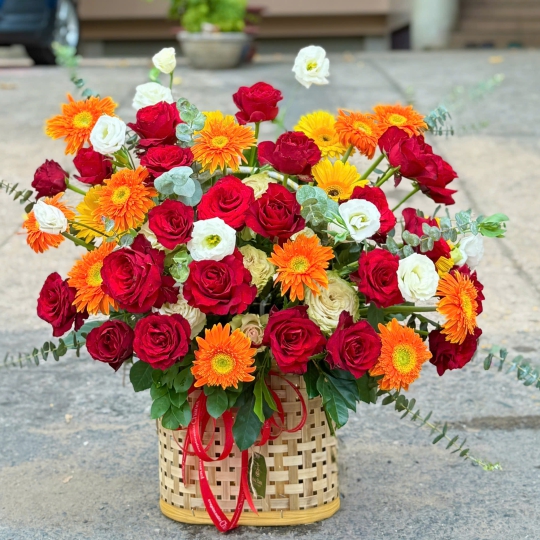 🌹 Sunshine Scarlet Garden – Khu Vườn Đỏ Rực Ánh Dương ✨ 