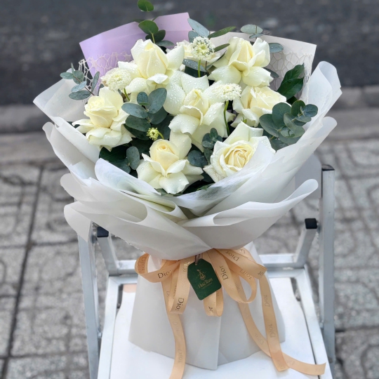 🤍 Ivory Serenity – Thanh Khiết Dịu Êm ✨ 
