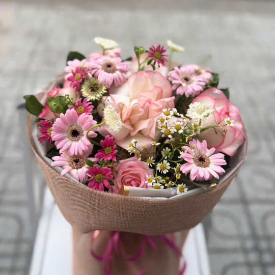 🌸 Pink Melody – Giai Điệu Hồng ✨  