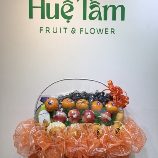 🍊 Golden Citrus Charm – Sắc Cam Thịnh Vượng 