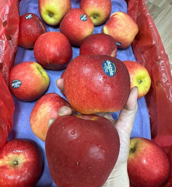 TÁO DAZLE NHẬP KHẨU