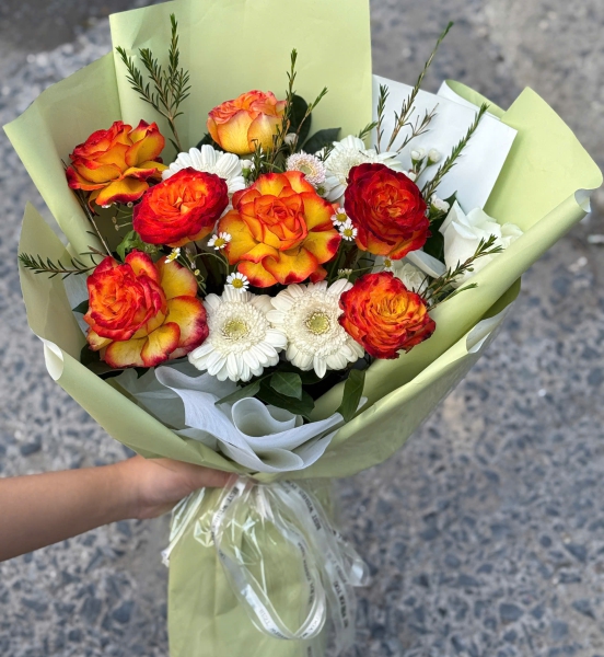 “Hừng Đông Rực Rỡ”