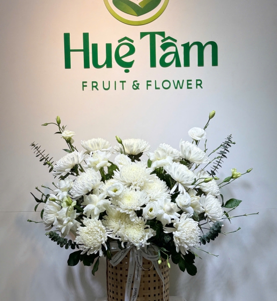 🌿 Snowy Grace – Thanh Nhã Tuyết Trắng