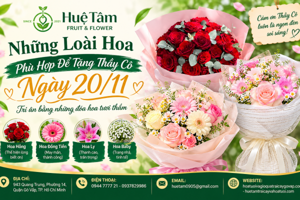 Những Loài Hoa Phù Hợp Để Tặng Thầy Cô Ngày 20/11