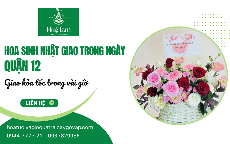 hoa sinh nhật trong ngày quận 12
